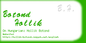 botond hollik business card